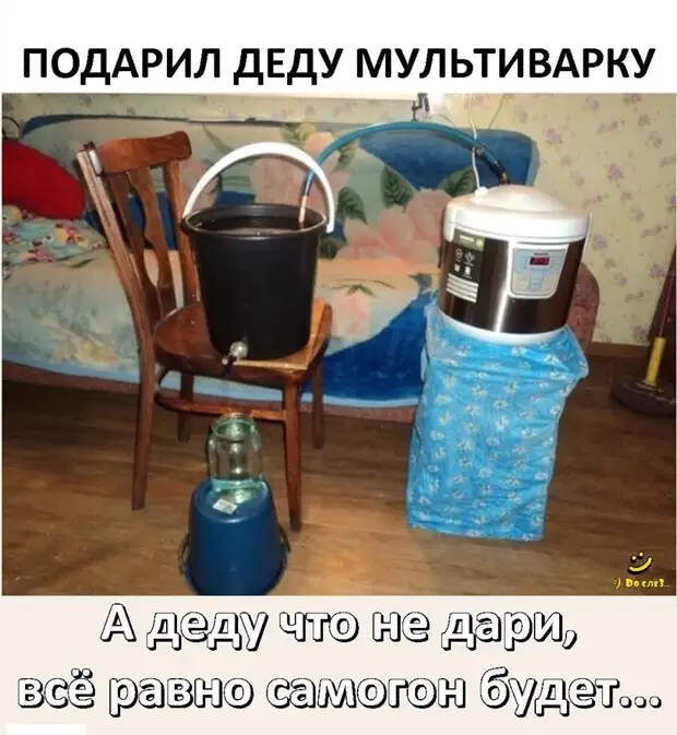 «Ещё один потерял голову от любви ко мне», — вздохнула самка богомола и нарисовала очередную звездочку на дереве