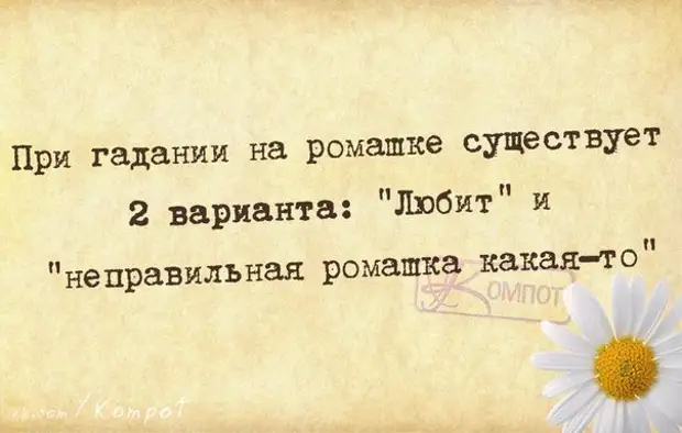 Сколько не гадай. Смешные высказывания про гадания. Цитаты про гадания смешные. Цитаты про гадание. Ромашка юмор.