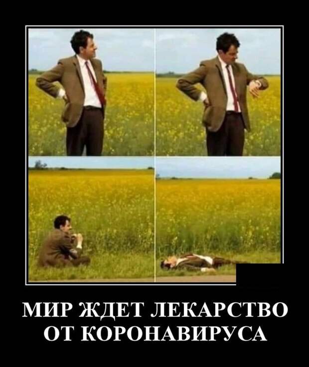 Демотиваторы (20 фото)