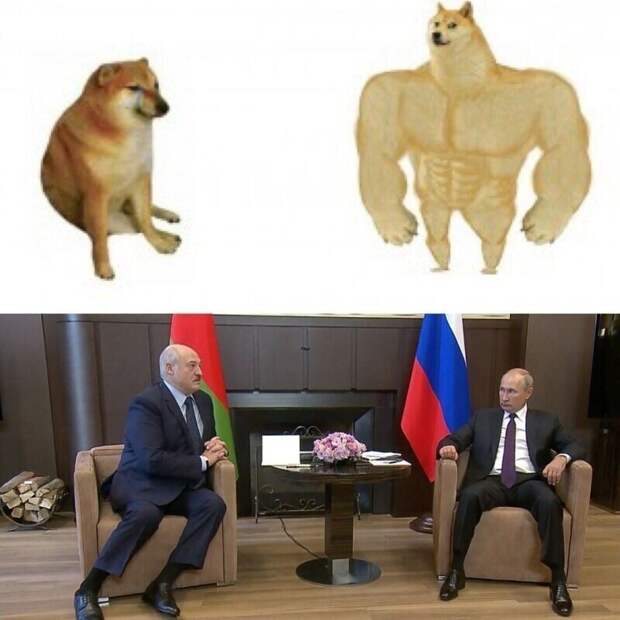 15. 15.