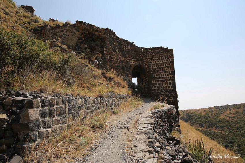 Амберд