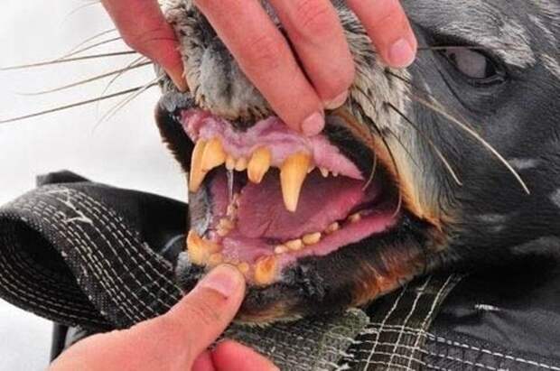 17 случаев, когда природа показала свою тёмную сторону