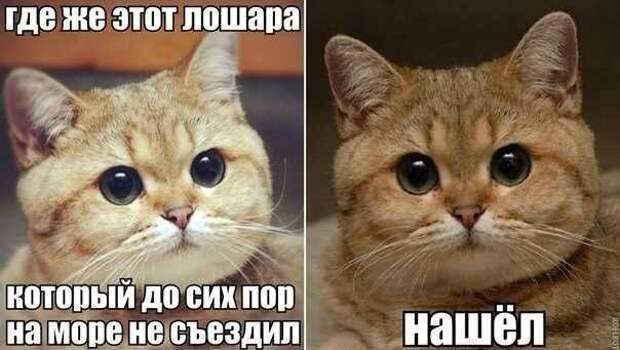 Всё в кучу 7