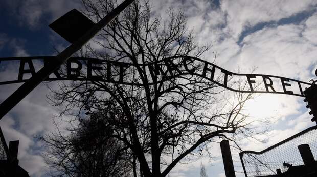 Камер не было, все фото - фейк: Британские СМИ об освобождении Освенцима бойцами Красной армии