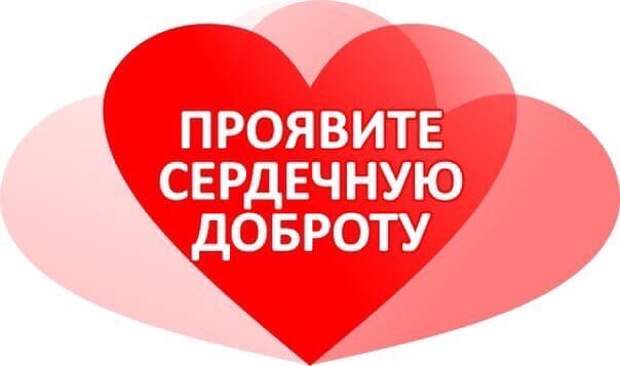 Ищем того, кто скажет ей заветные слова: "Ты моё Чудо, пойдём домой!"