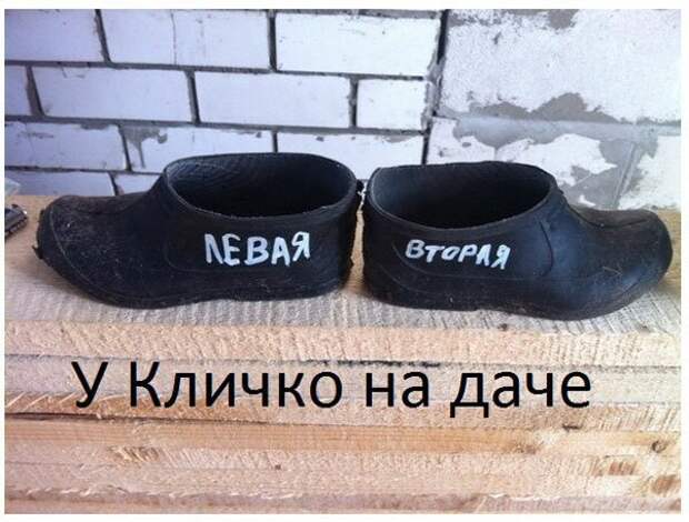 Картинки с надписями Картинки с надписями