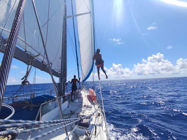 Фоторепортаж: российско-бразильская экспедиция «Братство-2025» с триумфом завершила кругосветку