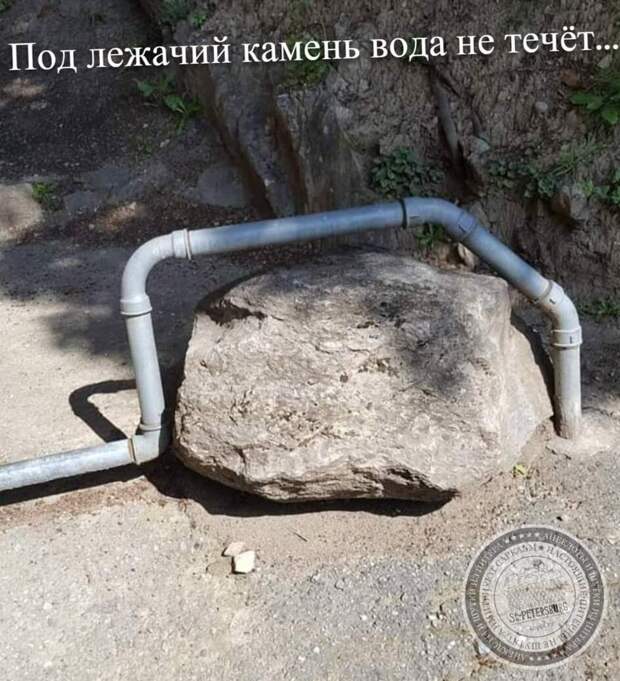 Под лежачий камень вода не течёт...