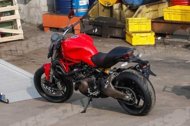 Ducati расширяет линейку «Монстров» - Фото 1
