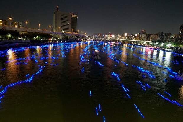 71 100.000 Голубые Шары, Плавающие Вниз по Реке В Токио