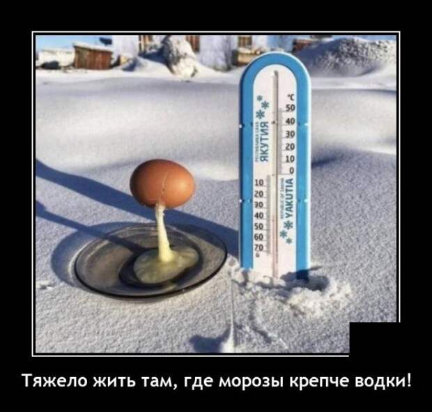 Демотиватор про морозы