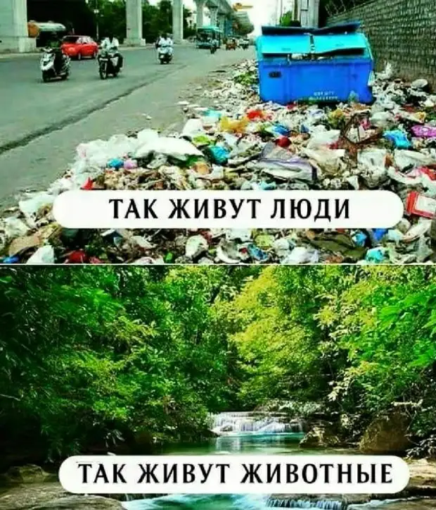 Кнопка 