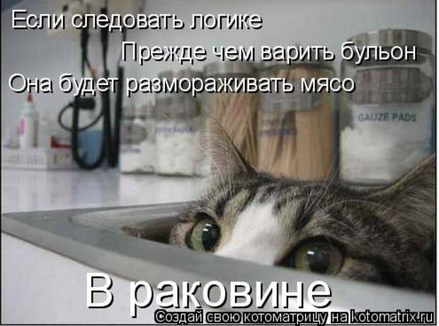 Новогодняя минутка юмора Новогодняя минутка юмора
