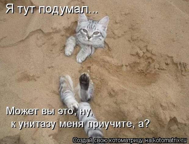 Новогодняя минутка юмора Новогодняя минутка юмора