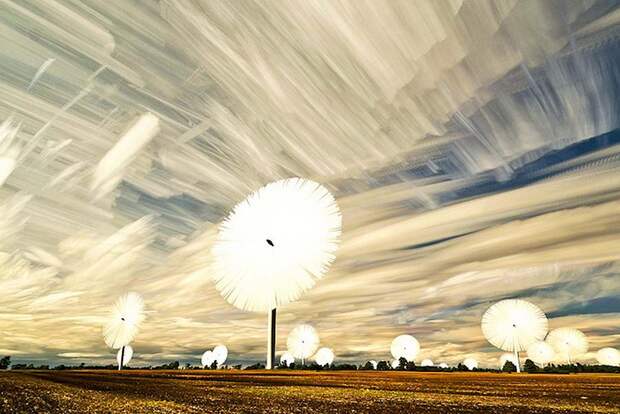 Matt Molloy 3 Размытые небеса Мэтта Моллоя