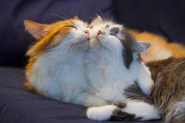 hugs
