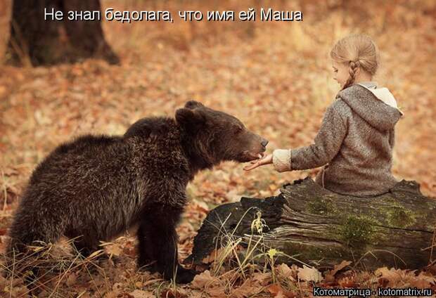 Котоматрица: Не знал бедолага, что имя ей Маша