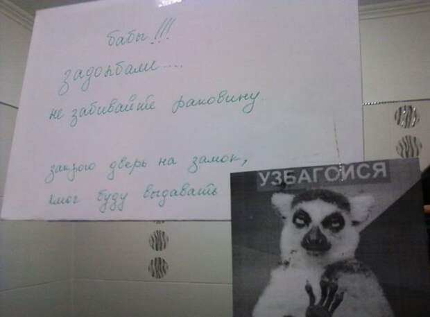 Прикольные картинки Прикольные картинки