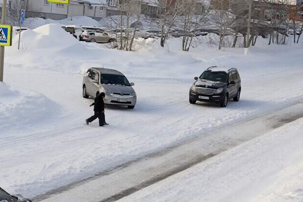 Водитель сбил двух детей на пешеходном переходе в Красноярске