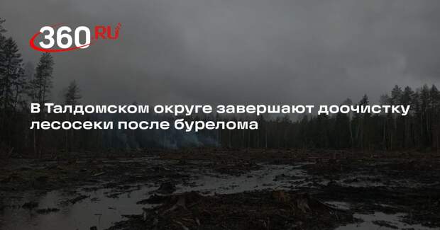 В Талдомском округе завершают доочистку лесосеки после бурелома