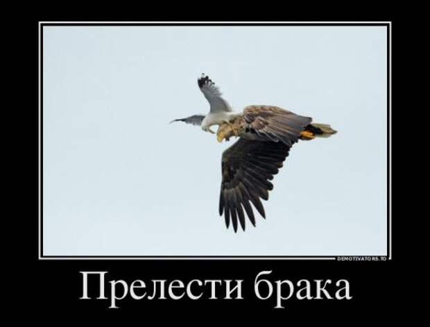 Новый сборник демотиваторов (15 шт)