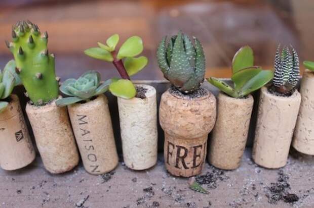 cork_planters11-500x333