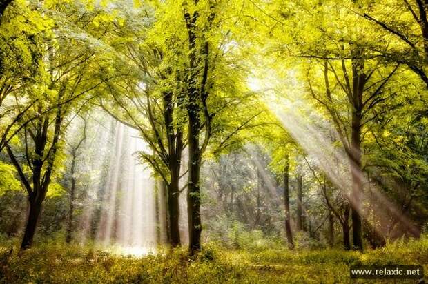Sun_rays_011