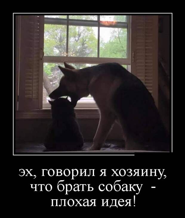 Демотиваторы (30 фото)