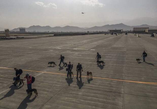 800 человек, 1 самолет: Хаос в эвакуации из Афганистана