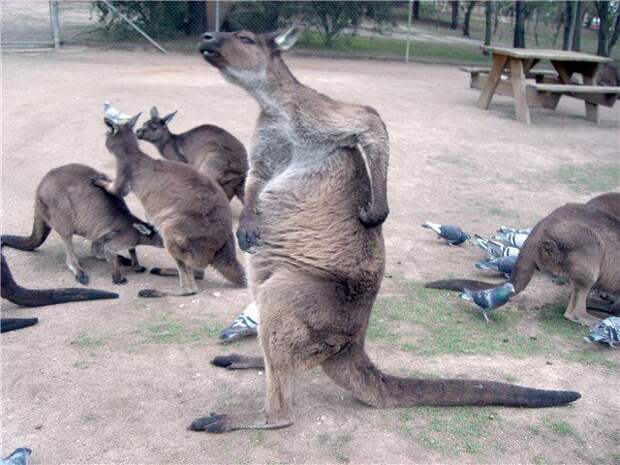 Давайте улыбаться вместе :) (27 улыбок)