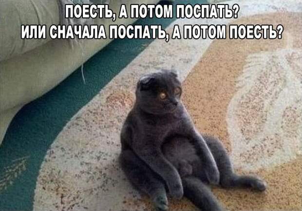 Смешные картинки и мемы с надписями