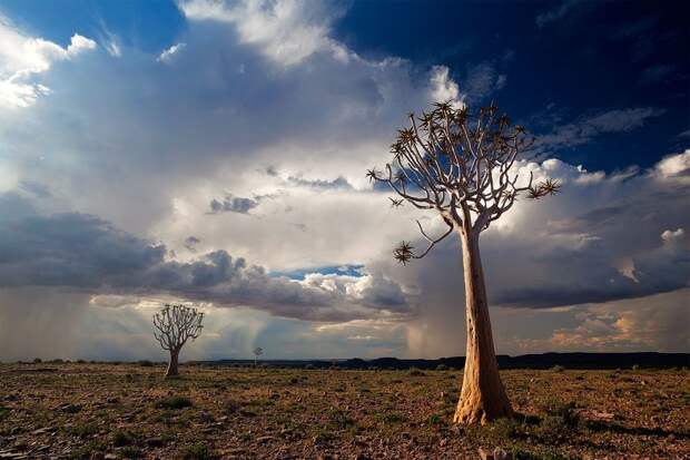 Namibia20 Namibia20 Фантастические пейзажи Намибии