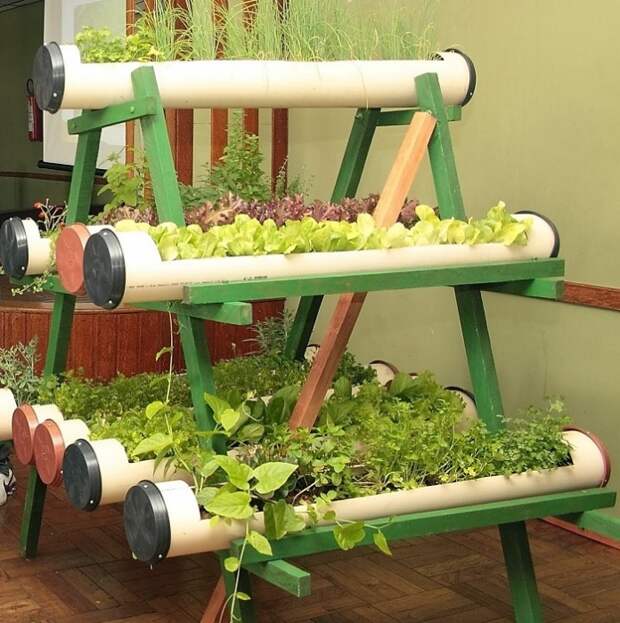 Эта идея для любителей свежей домашней зелени.