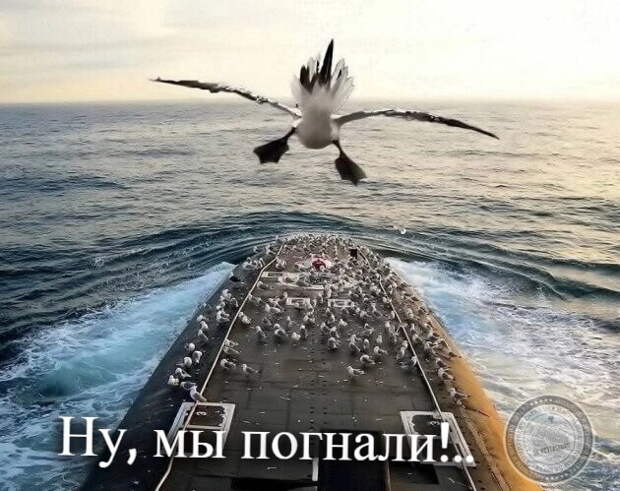 Ну, мы погнали!