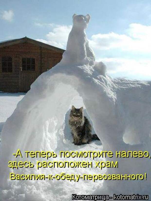 Котоматрицы (картинки с надписями)