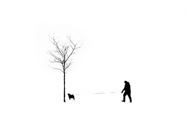 Man, Tree, Dog by 文辉 (手机摄)  on 500px.com