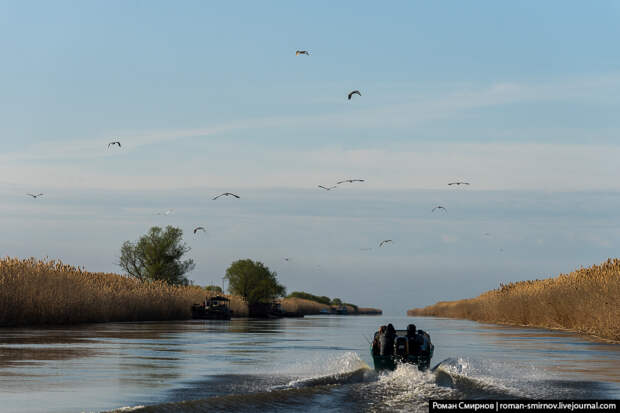 На лодке по дельте Волги. Каспийские раскаты.