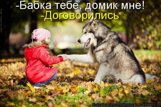Котоматрица - -Бабка тебе, домик мне! -Договорились