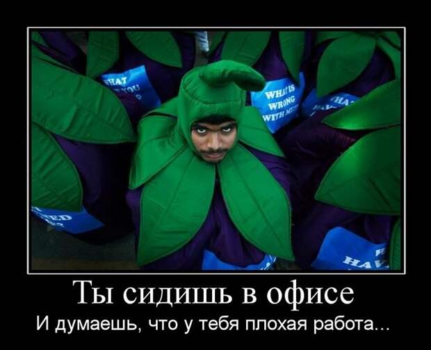 Свежи и веселые демотиваторы на пятничный вечер (11 фото)