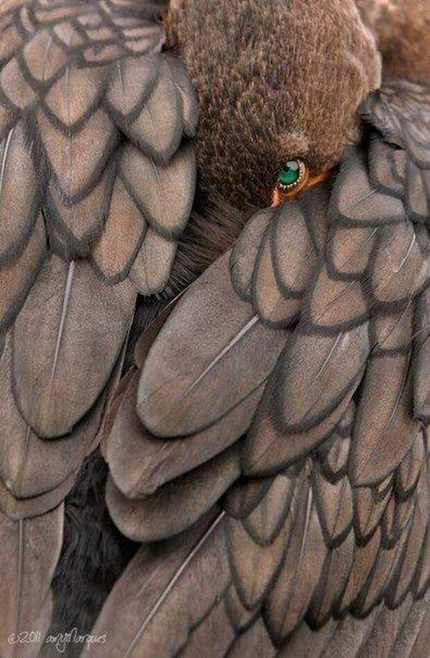 Больше, чем просто фотография