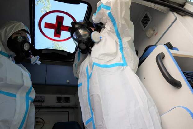 Россиянам рассказали, как не заразиться вирусом чикунгунья