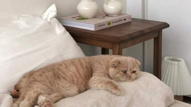 «Всё бежевое, аж противно». Рассказываю, что скрывается за модой на этот благородный цвет