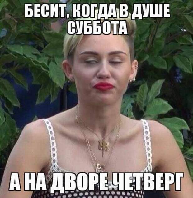 Коллекция весёлых картинок про субботу