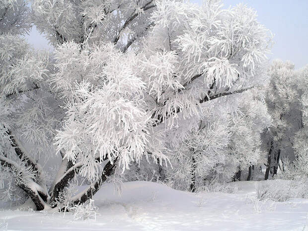 Зима! Природа! Красота!