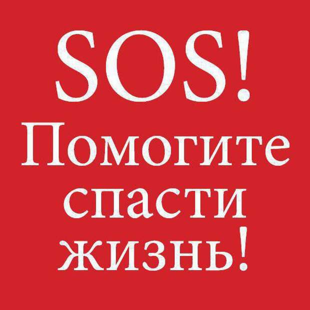 Умоляем, помогите ангелочкам! Хотя бы временной передержкой!!!