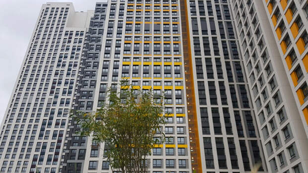 Заммэра Москвы Ефимов: в районе Хорошево-Мневники преобразят почти 7,4 гектара земли