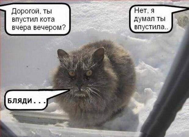 Всяко - разно 19 ))) Всяко - разно 19 )))