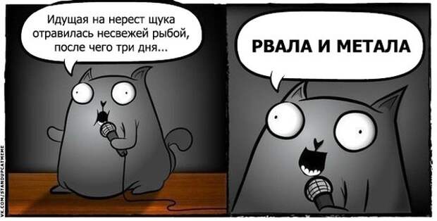 Стендап-кот и его коллекция саркастических комиксов Стендап-кот и его коллекция саркастических комиксов