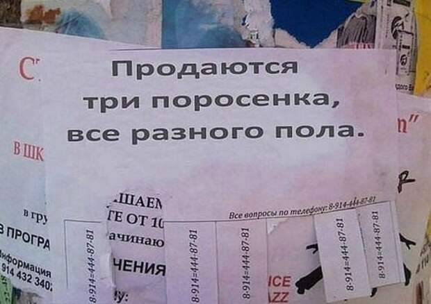 Шедевральные надписи и объявления