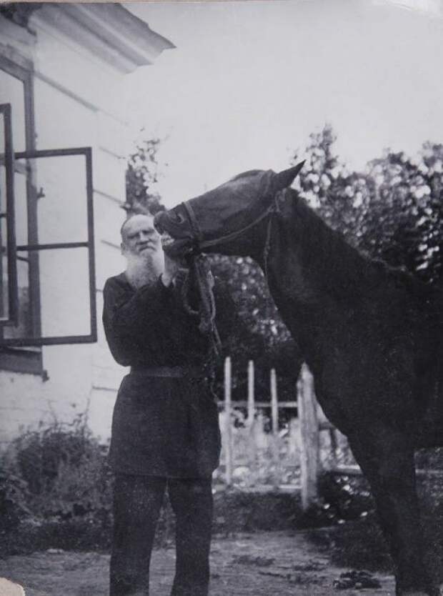 Лев Толстой со своим конем.